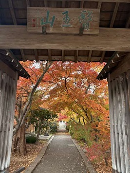 街フォト553-2026「紅葉寺」