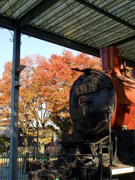 街フォト646-2026「赤の季節」