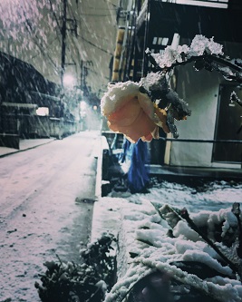 街フォト167-2024「負けないで」