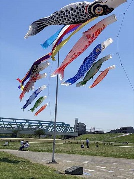 街フォト261-2025「大空に泳ぐ」
