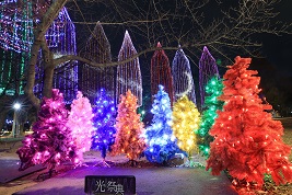 街フォト283-2025「イルミネーションツリー競演」