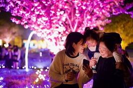 街フォト544-2025「花と光の思い出」