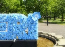 街フォト593-2026「とねりのり。」