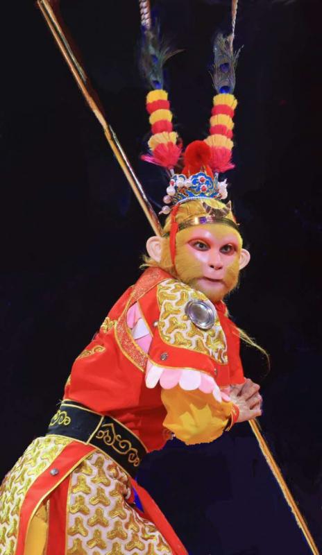 孔得偉