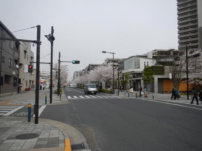 区画街路8号（さくら参道）整備後