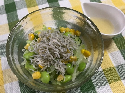 枝豆と雑魚のサラダ