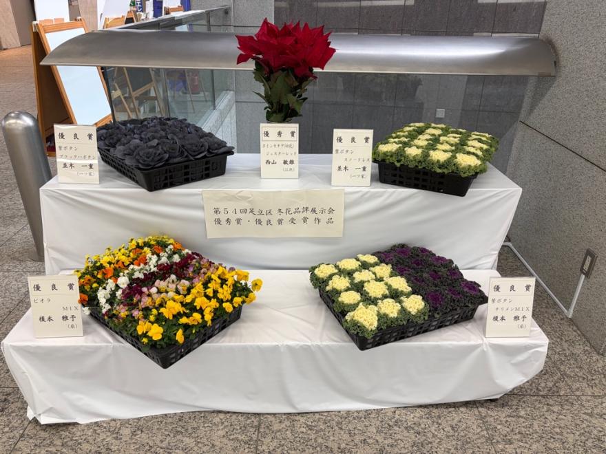 54冬 全入賞作品