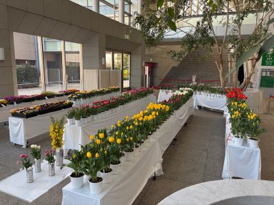 small-tenjikai-zenkei