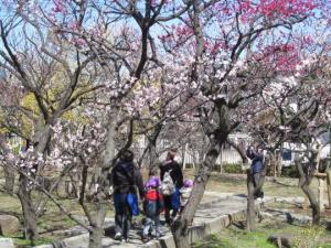 フジ河添公園