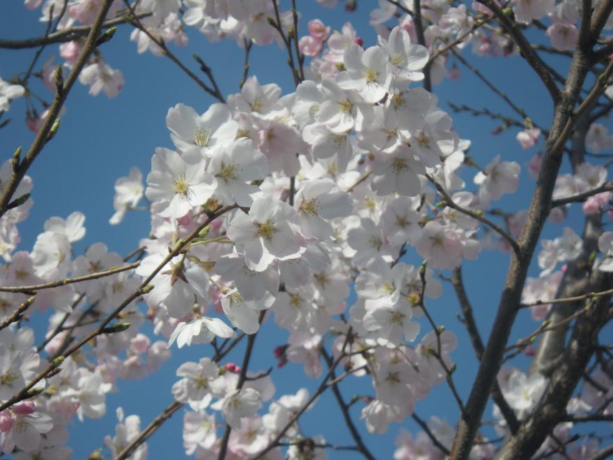 神代曙 舎人緑道公園