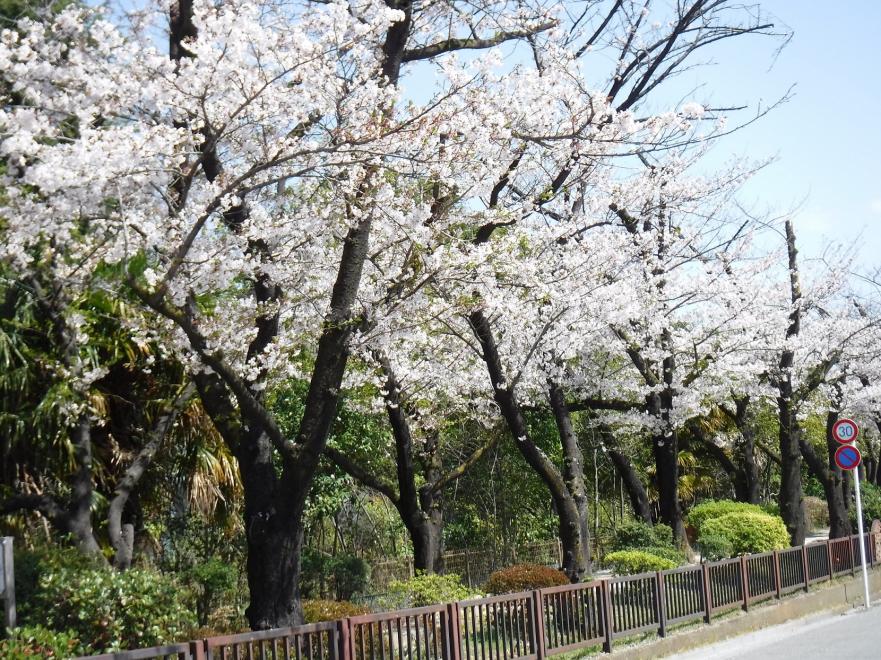 舎人緑道公園