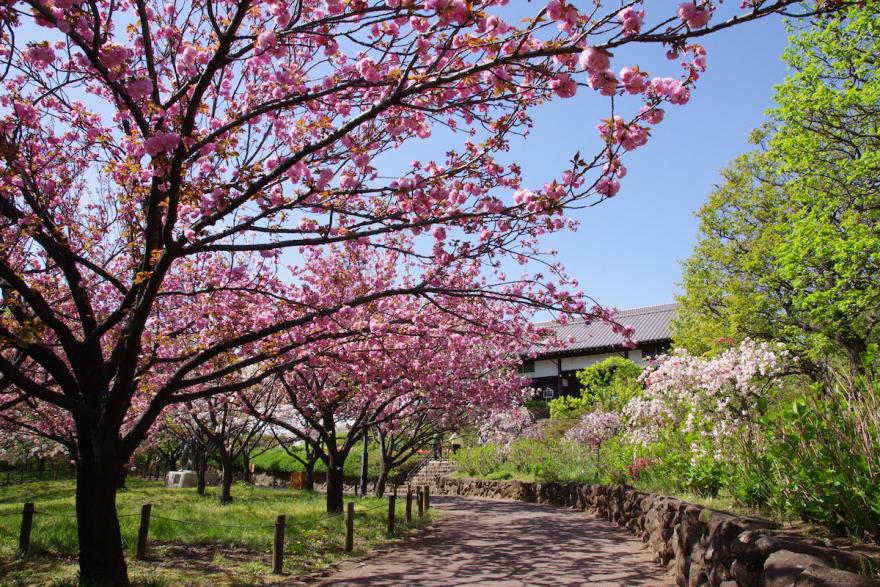 都市農業公園