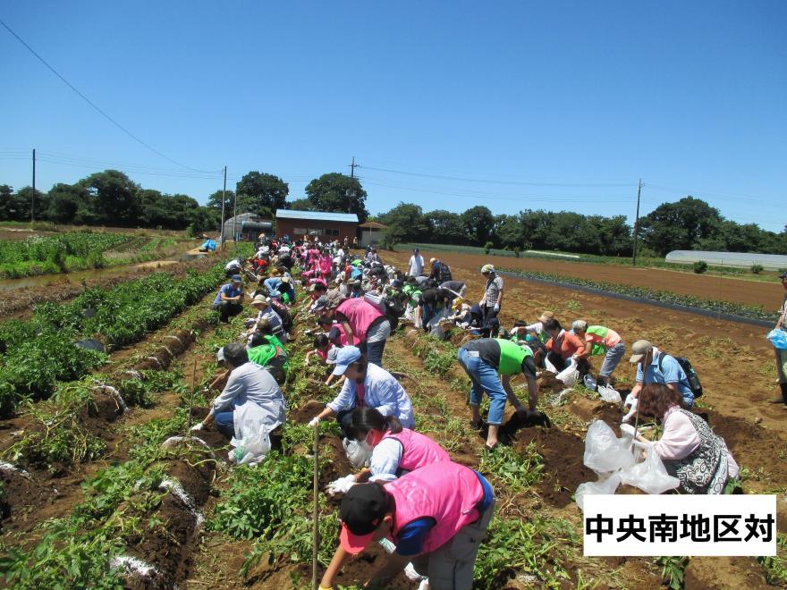 中央南地区対じゃがいも掘りバスハイク