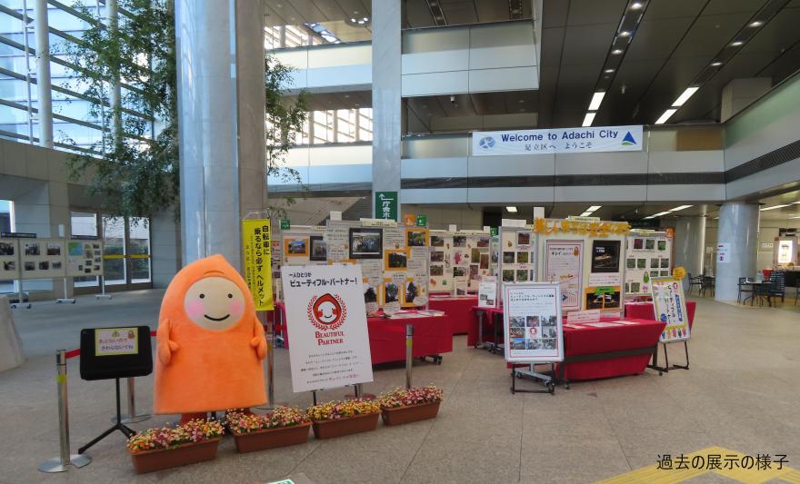 過去の展示の様子