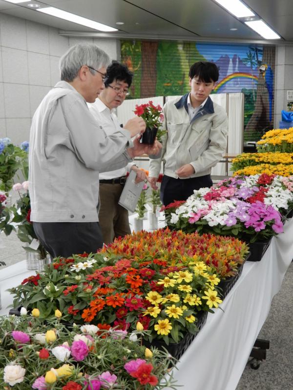 審査会３