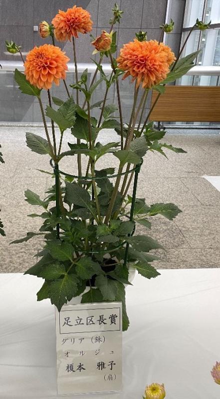 足立区長