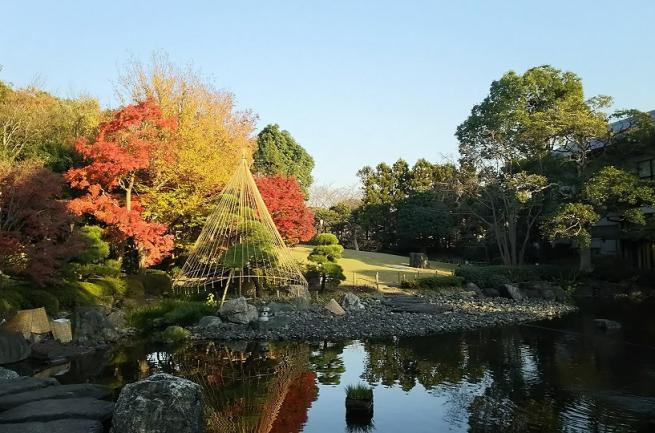 桜花亭の庭園（秋）