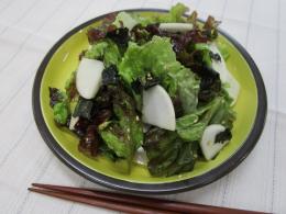 かぶとレタスのチョレギサラダ