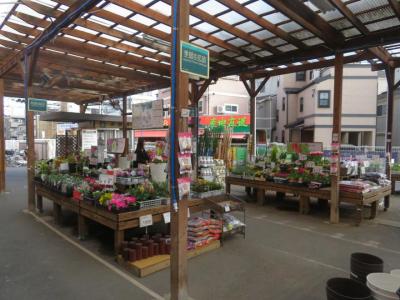 島忠大谷田店