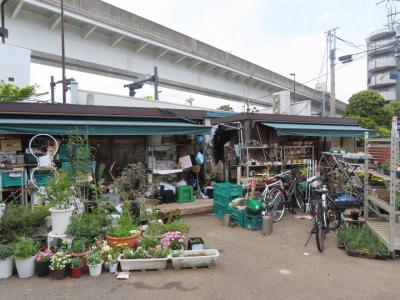 川村生花店