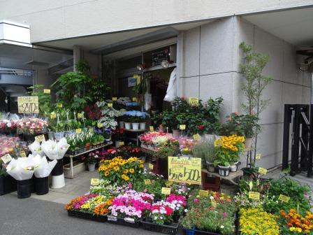 フラワーショップますみ店舗写真