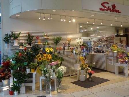 自宅用にもギフトにも 草加駅近くのお花屋さんはとっても素敵 Pathee パシー 自宅用にもギフトにも 草加駅近くのお花屋さんはとっても素敵 Pathee パシー