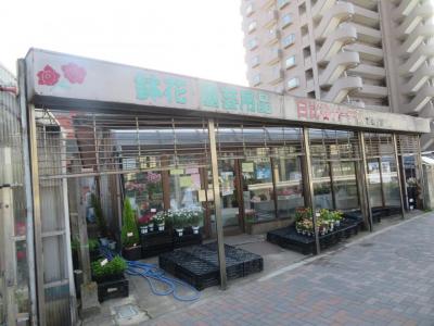 日比谷ガーデン
