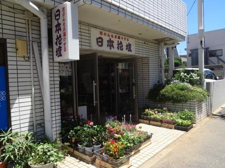 日本花壇