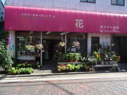 コダト生花店
