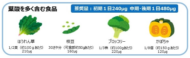 葉酸