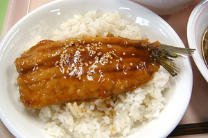 いわしの蒲焼丼