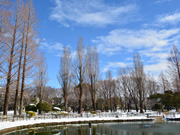 雪景色1（元渕江公園）