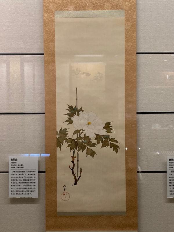 牡丹