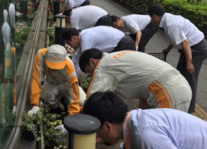 花壇植替え