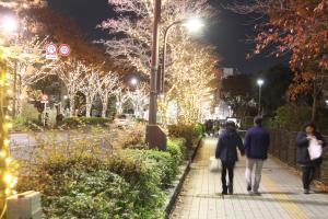 駅前続く街路樹