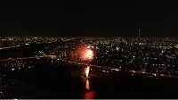 ドローン動画「足立の花火」サンプル