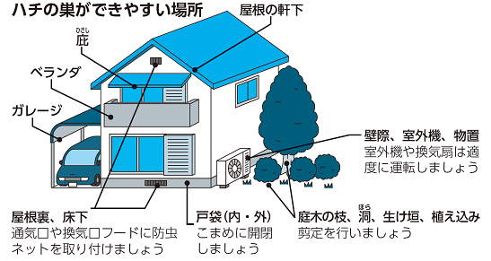 ハチの巣を作らせない