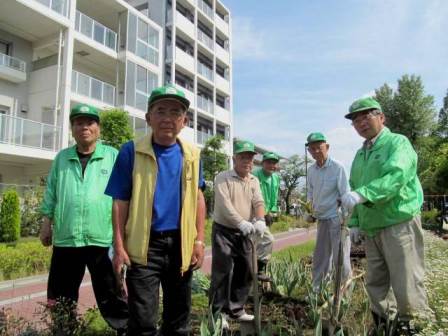 西新井中央公園花壇活動の様子2