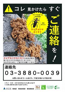 ポスター
