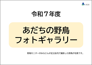 令和7年度フォトギャラリー