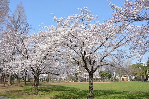 元渕江公園