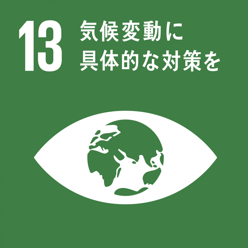 sdg_icon_13_ja