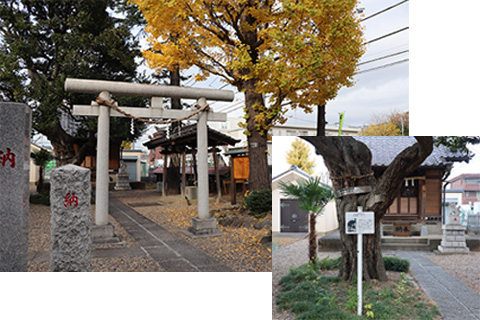 雷（いかづち）神社