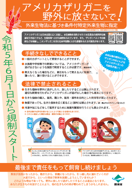 アメリカザリガニ