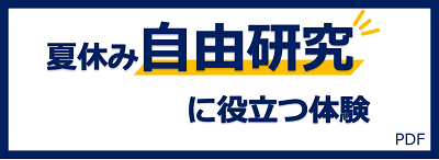 自由研究に役立つ体験