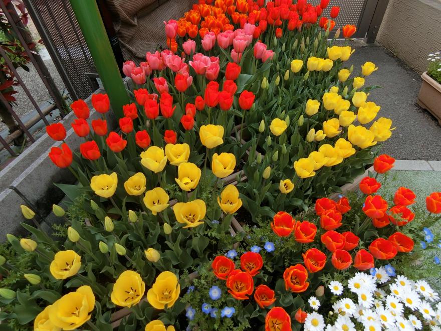 R7足立このみ保育園