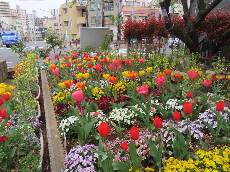 R7千住めぐみプチテラス