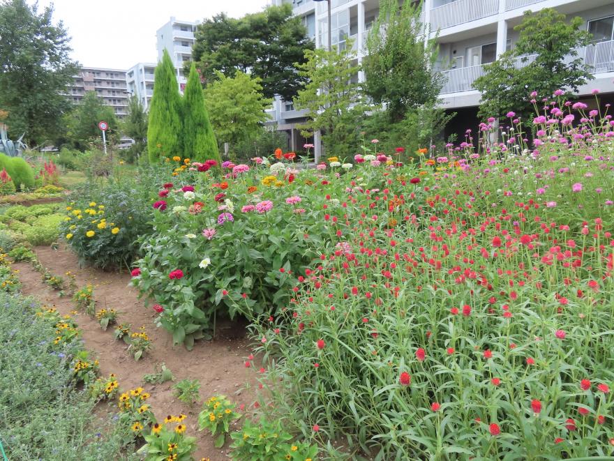 R7西新井第三団地