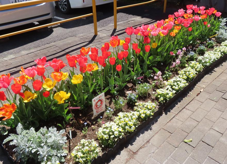 R7とねりガーデナーズ