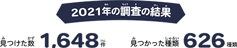 2021年夏の調査結果